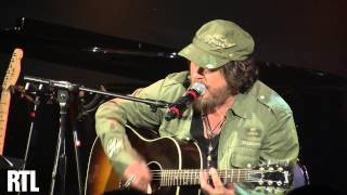 Zucchero  Guantanamera en live dans le Grand Studio RTL  RTL  RTL [upl. by Aikenat]