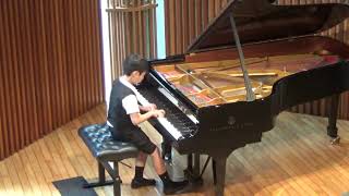 Mozart K310 SonataNo 8 Mov 1 [upl. by Hatcher505]