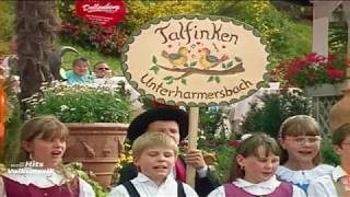 Talfinken Unterharmersbach  Alle Vögel sind schon da 1990 [upl. by Read984]