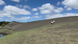 Auckland  Bethells Beach Sand Dunes [upl. by Urson]