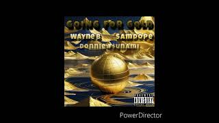 Donnie Tunami  Going For Gold Feat SamDope amp Wayne B ProdH3 [upl. by Gerdi]