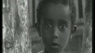 Mezmur Yohannes  Lijinetae [upl. by Kelbee]