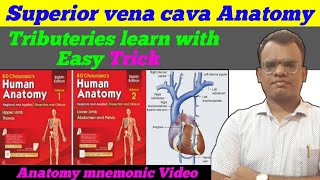 Superior vena cava । superior vena cava in hindi । Anatomy mnemonic । Ayurveda Study । [upl. by Boice]