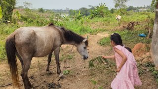 Eid day vlog My Family Vlog Video  Viral Vlog Video  Bangladeshi Vlog [upl. by Mclain]