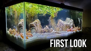 I Tried to Make an EASY Aquascape for Shell Dwellers ft TazawaTanks [upl. by Pius]