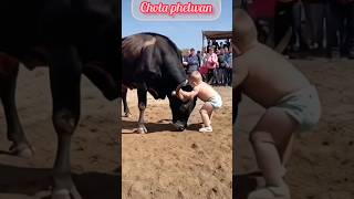 Chota phelwan small wrestler fight with bullshortsfeed trendingshorts ytshorts😱❤️‍🔥😏🧐 [upl. by Alehc576]