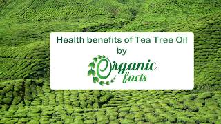 13 Amazing Benefits Of Tea Tree Oil  Organic Facts [upl. by Ellevel]