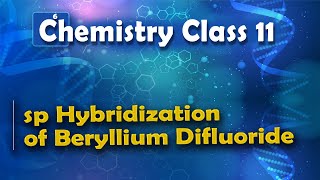 sp Hybridization of Beryllium Difluoride  Nature of Chemical Bond  Chemistry Class 11 [upl. by Henryetta]