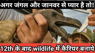 12th के बाद wildlife में अपना कैरियर कैसे बनाये  where to study Job and salary details [upl. by Lime272]