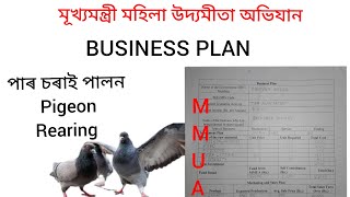 পাৰ চৰাই পালন Pigeon Rearing  Business plan form fill up  MMUA [upl. by Ahsirt]