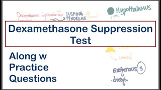 Overnight Dexamethasone Suppression Test ONDST [upl. by Starlin148]