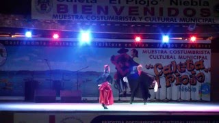 BAILE EL PAVO CON LA PAVA  CLUB DE CUECA Y FOLCLOR RAÍCES DE CALDERA [upl. by Gathers]