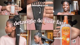 how to detangle type 4 hair fast stepbystep process [upl. by Einad784]