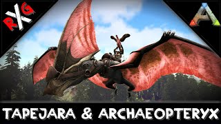 ARK TAPEJARA amp ARCHAEOPTERYX TAMING [upl. by Nadnerb283]