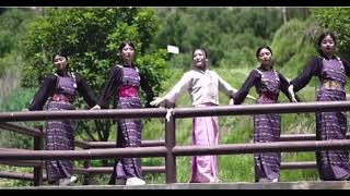 Zhingkham Ngoma Rigsar Dance [upl. by Nnaeed]