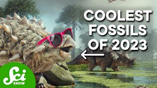 These Are The Coolest Fossils From 2023 [upl. by Skiba81]