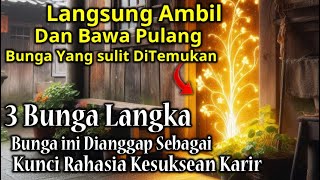 SULIT UNTUK DITEMUKAN  3 Bunga Langka Yang Memiliki Khasiat Dan Kegaiban Yang Luar Biasa [upl. by Prissie252]