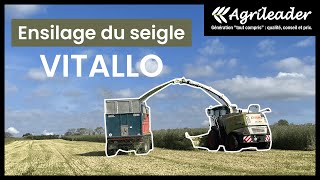 Ensilage du seigle fourrager VITALLO [upl. by Ysak639]