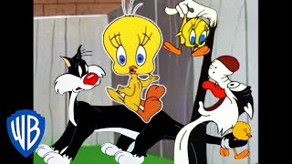 Looney Tunes  I Taut I Taw a Putty Tat  Classic Cartoon Compilation  WB Kids [upl. by Synn]