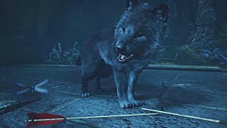 Assassin’s Creed Valhalla  Loki’s Son Fenrir Attacks Odin  First Wolf Boss Fight [upl. by Notsew]