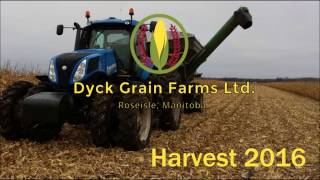 Harvest 2016  Dyck Grain Farms [upl. by Akinoj]