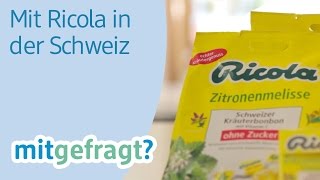 Alles rund um Ricola Wie kommen die Kräuter ins Bonbon  dm mitgefragt Folge 31 [upl. by Latnahs]