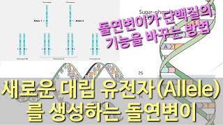 진화론 이해하기 16 새로운 대립 유전자Allele를 생성하는 돌연변이 [upl. by Micheil]