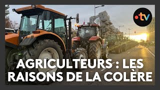 Agriculteurs  les raisons de la colère [upl. by Pessa]