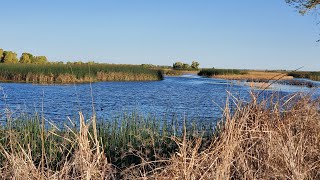 Visit to Colusa National Wildlife Refuge [upl. by Ratna212]