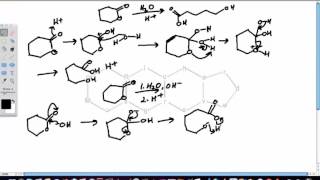 Lactone Hydrolysis [upl. by Innavoj]