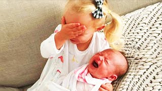 Legendary Moments When Kids Meet Newborn Babies  Funny Baby Siblings [upl. by Ariec]