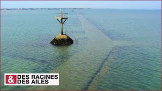 Le passage du Gois [upl. by Vinaya225]