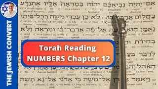 Numbers Chapter 12  Torah Reading in Hebrew with English Translation  TORAH STUDY [upl. by Auqenes]