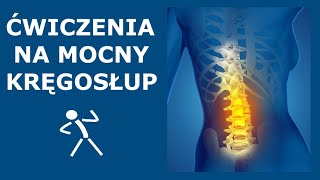 Ćwiczenia na stabilny i mocny kręgosłup  Stabilizacja głęboka kręgosłupa  Ćwiczenia CORE [upl. by Eliezer]