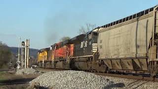 NS 174 mixed freight by N Rockwood main to main 33024 UP amp BNSF power in lash up [upl. by Annonyw]