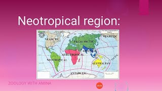 Neotropical region  Zoological characteristics and physical features of neotropical region [upl. by Lleira]