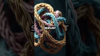 Can We Untangle Knots The Unknotting Problem Explained Shorts [upl. by Pilihp]