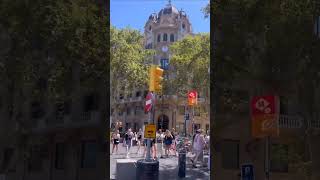 Barcelona Spain City Barcelona Life barcelona spain spaintravel barcelonalife barcelona foryou [upl. by Eilrebmik]