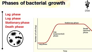 Phases of bacterial growth  Bacterial growth curve  microbiology [upl. by Yentroc]