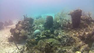 Tour Diving Mexico Cozumel Reefs [upl. by Eimrej707]