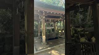 蒲郡のとある神社⛩️ [upl. by Rohn]