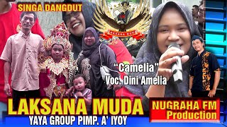 Camelia Cover Laksana Muda Yaya Group Voc Dini Amelia [upl. by Accever894]