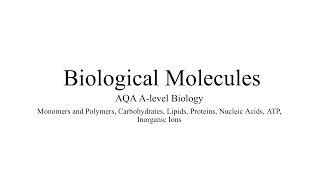 MONOMERS AND POLYMERS AQA ALevel Biology amp Exam Style Question [upl. by Marisa49]