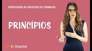 Introdução ao Processo do Trabalho  Princípios [upl. by Strong148]