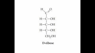 Number of Chiral centers and Stereoisomers Derieved from Dribose [upl. by Adnohsed206]