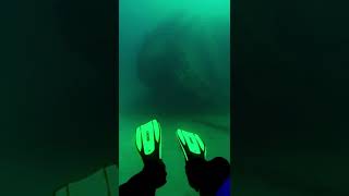 ⚠️ megalohydrothalassophobia⚠️ fear of huge objects underwater deepsea scary shorts fear [upl. by Vachil967]