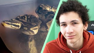 The Worst Reptile Care on YouTube [upl. by Ynaffik]