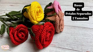 Tutorial Rosas a Crochet Pétalos Separados💜Mayelin Ros [upl. by Wendy]