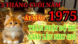 Sách Tử Vi Ghi Rõ 3 Tháng Cuối Năm Ất Mão 1975 Được Thần Phật Phù Hộ Giàu Lên Như Gió [upl. by Adirem233]