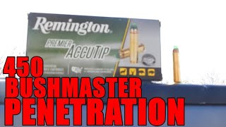 450 BUSHMASTER ACCUTIP PENETRATION [upl. by Gus830]